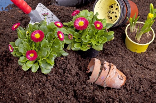 Garden waste collection pricing for a Sidcup home