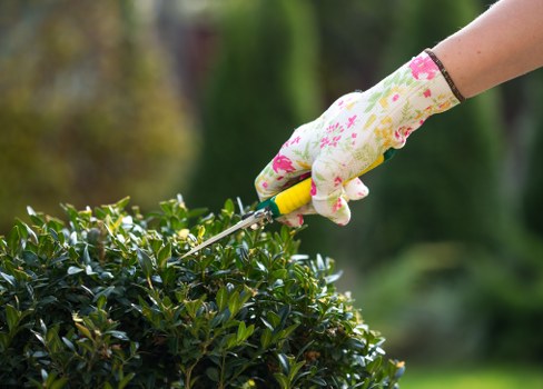 Landscaping complaint review with site notes and paperwork