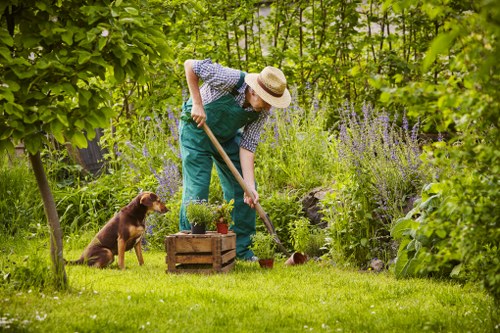 Accessible landscaping website interface in Sidcup