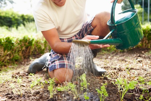 Landscapers Sidcup waste sorting area with eco-friendly recycling practices