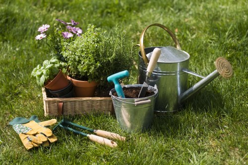 Professional hedge cutting work in Sidcup