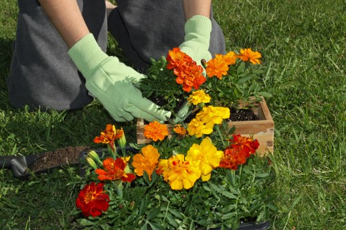 Local landscaping service in Sidcup creating a tidy, functional outdoor space