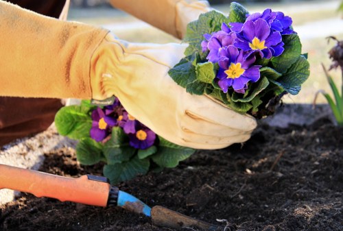 Low-maintenance landscape gardening in Sidcup with structured beds and lighting