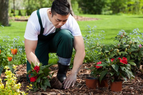 Colourful plants selected for a Sidcup flower bed