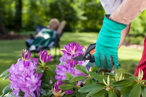 Low-maintenance garden landscaping in Sidcup