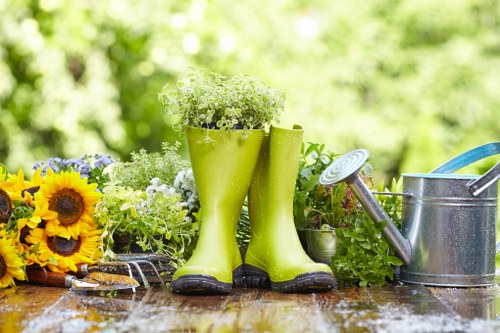 Garden waste removal and tidy outdoor space in Sidcup