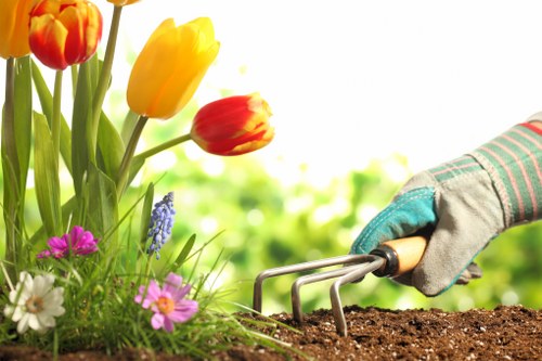 Seasonal planting and outdoor living space in a Sidcup landscaped garden