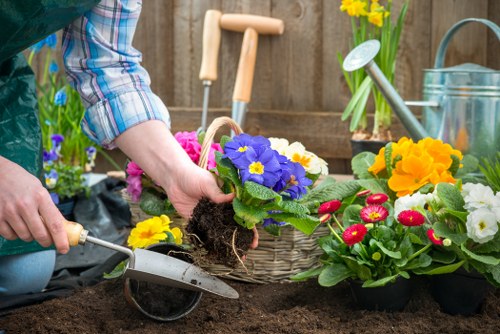 Wildlife-friendly planting scheme for a Sidcup outdoor space