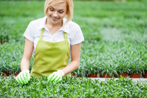 Eco-friendly landscaping recycling and reuse efforts in Sidcup