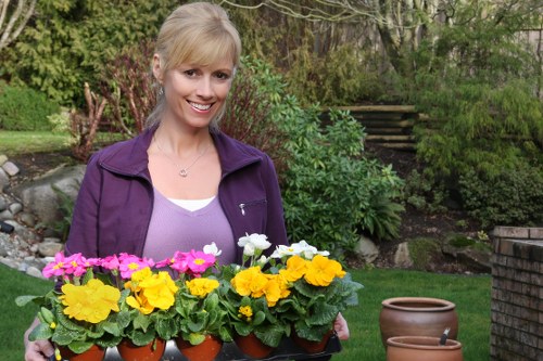Professional garden maintenance in Sidcup focusing on lawn health