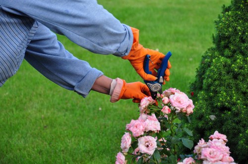 Professional landscapers shaping a structured garden layout in Sidcup