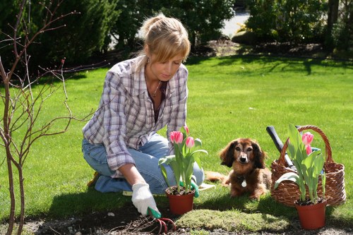 Patio, planting, and lawn installation by local landscape gardeners in Sidcup