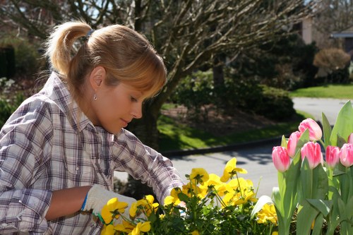 Seasonal garden design by Sidcup landscapers