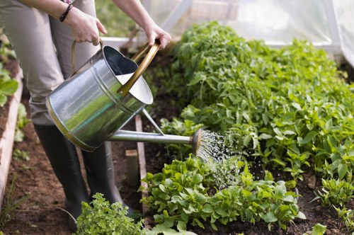 Review of landscaping work quality and agreed remedy